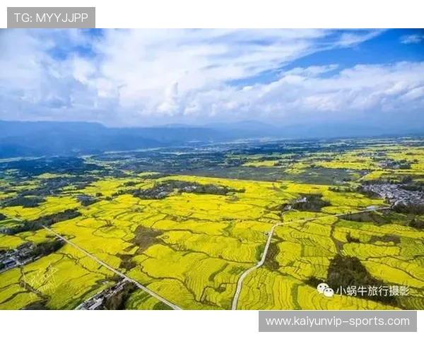 开云体育代理提成比例避坑指南 电竞投注盘口防骗